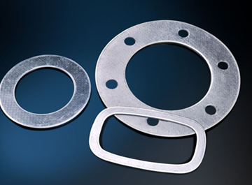 Expanded graphite gasket